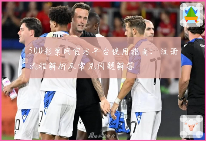 500彩票网官方平台使用指南：注册流程解析及常见问题解答